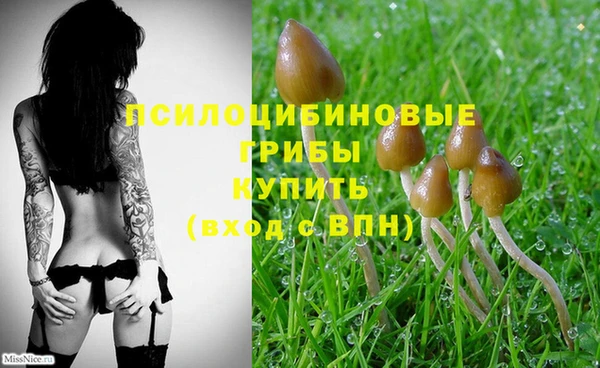 стафф Абинск