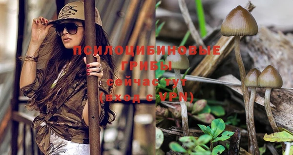 стафф Абинск