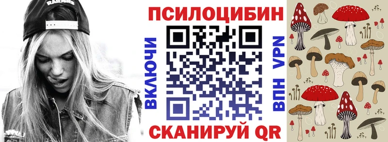 mega ССЫЛКА  Торопец  Псилоцибиновые грибы ЛСД 